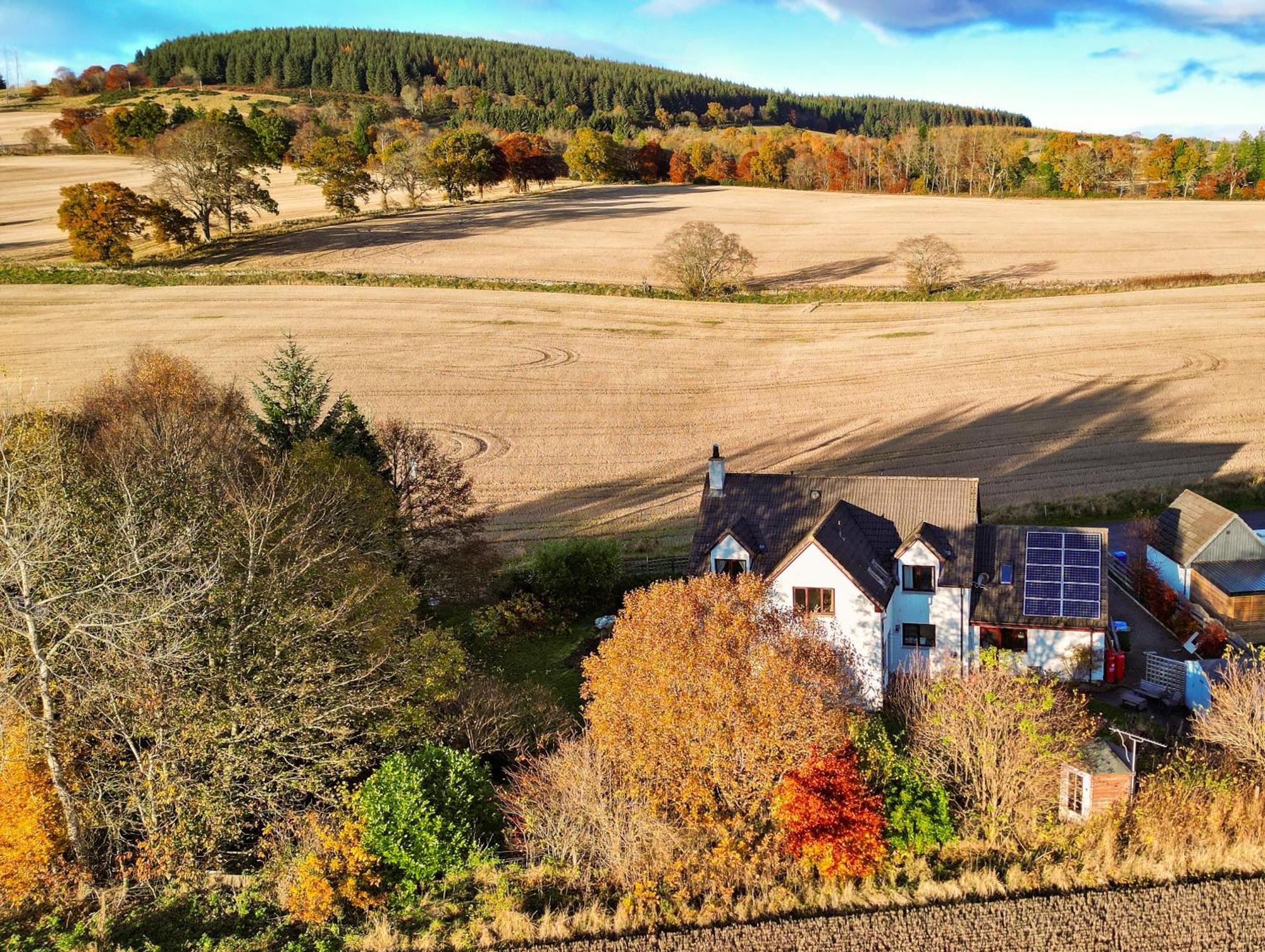 Beechwood Lodge Guesthouse Alness Kültér fotó