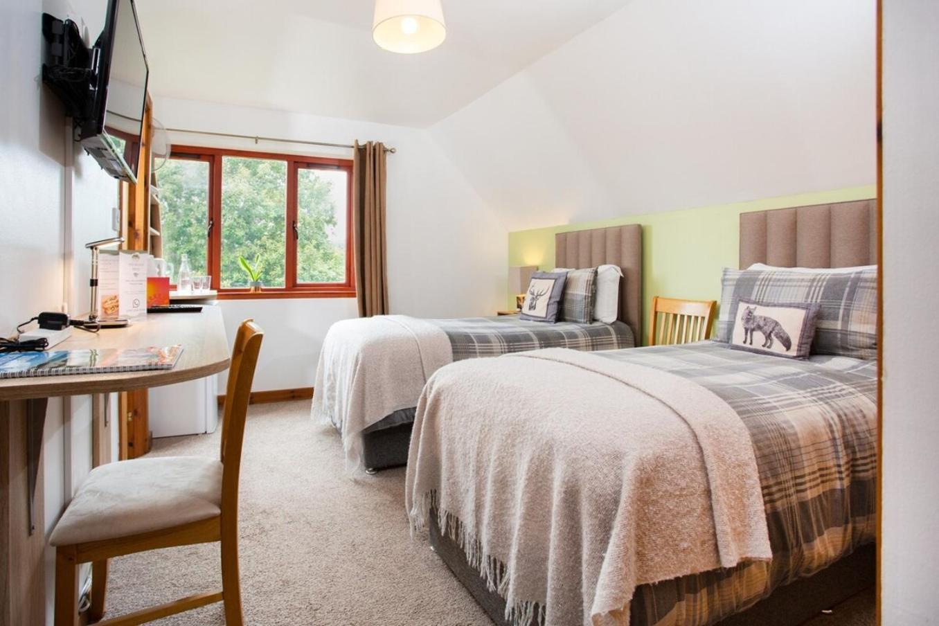 Beechwood Lodge Guesthouse Alness Kültér fotó