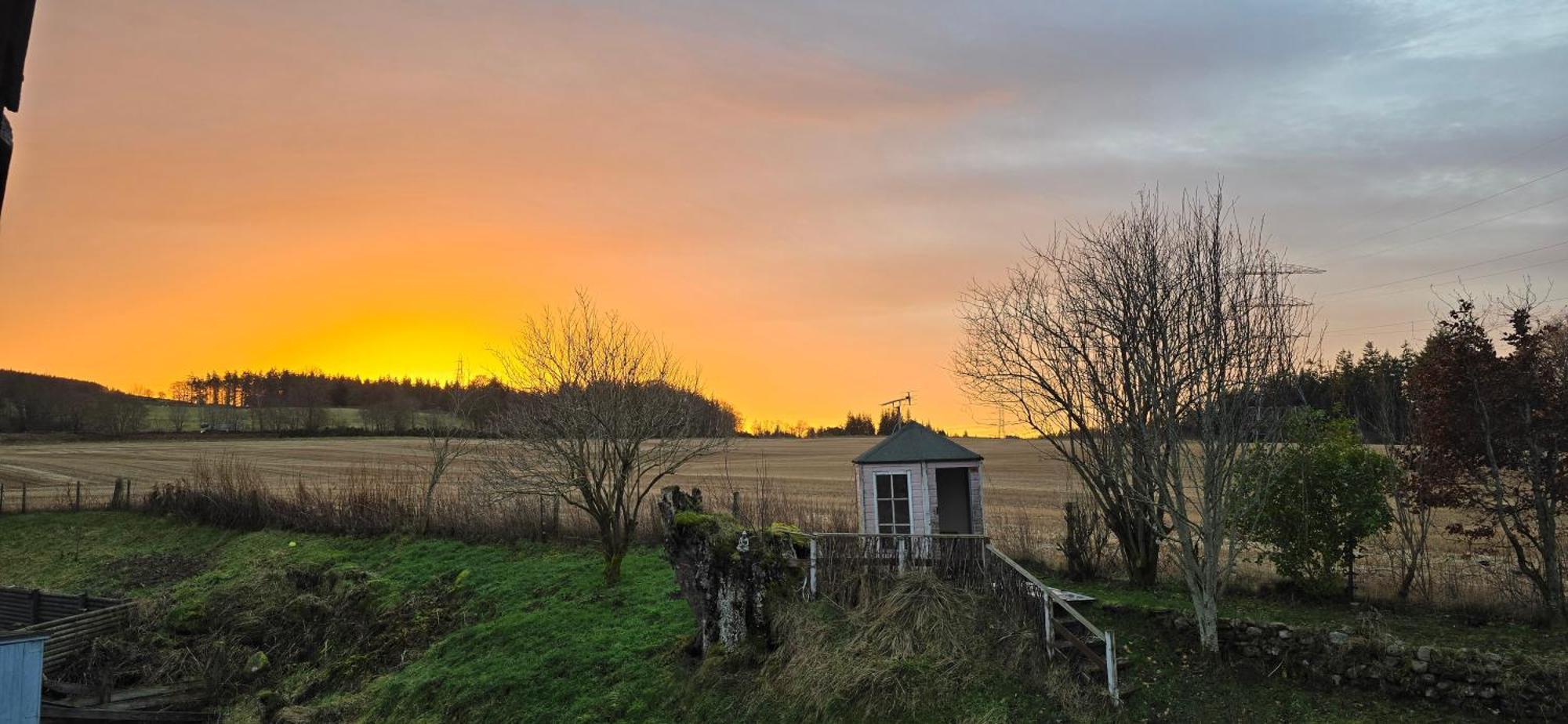 Beechwood Lodge Guesthouse Alness Kültér fotó